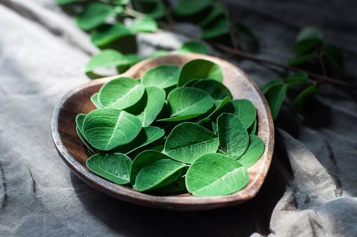 Close-up view of moringa leaves on a heart-shaped bowl