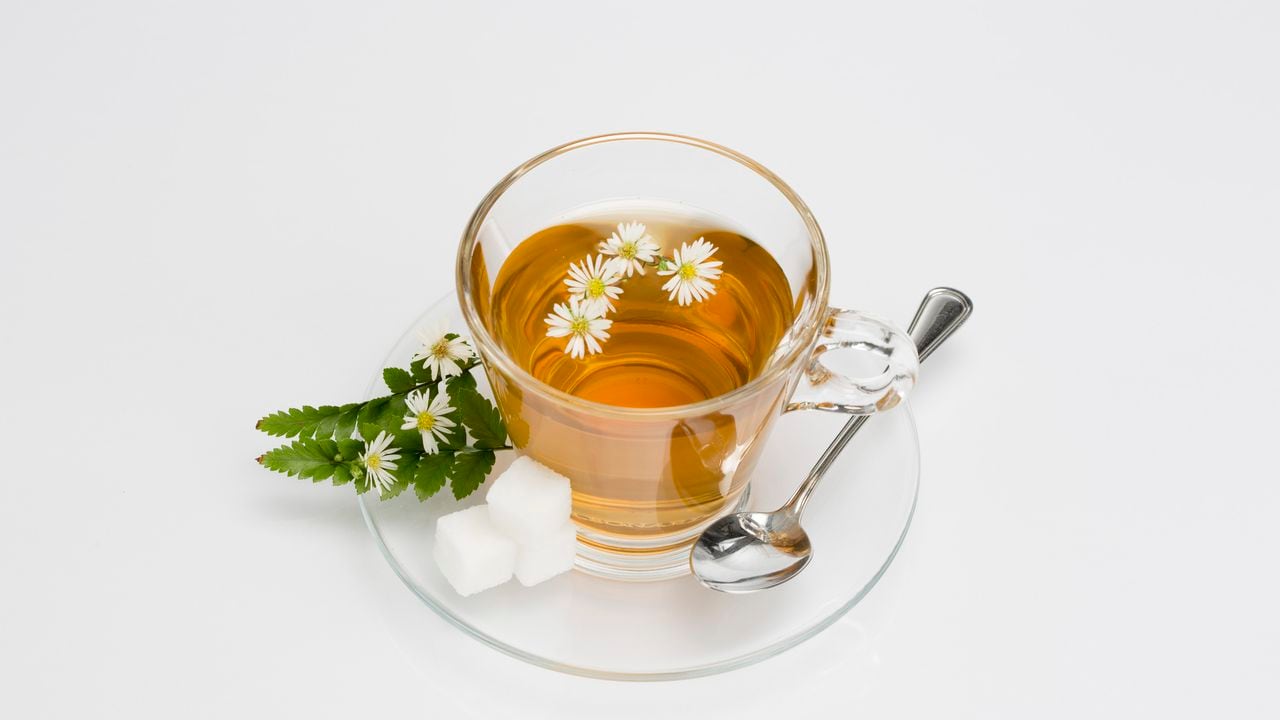 Cup of camomile tea with camomile flowers