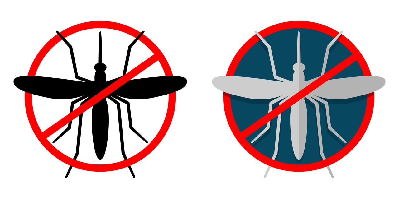 Control de los mosquitos.