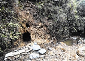 Según investigaciones de Parques Nacionales, en Los Farallones hay identificados alrededor de 320 socavones. Sin embargo, en la actualidad, se calcula que  hay actividad minera en siete o diez de esos agujeros en la montaña.