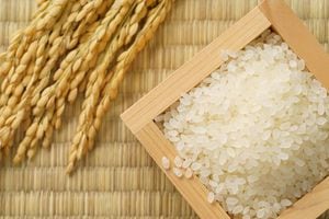 El arroz es un tipo de grano integral.