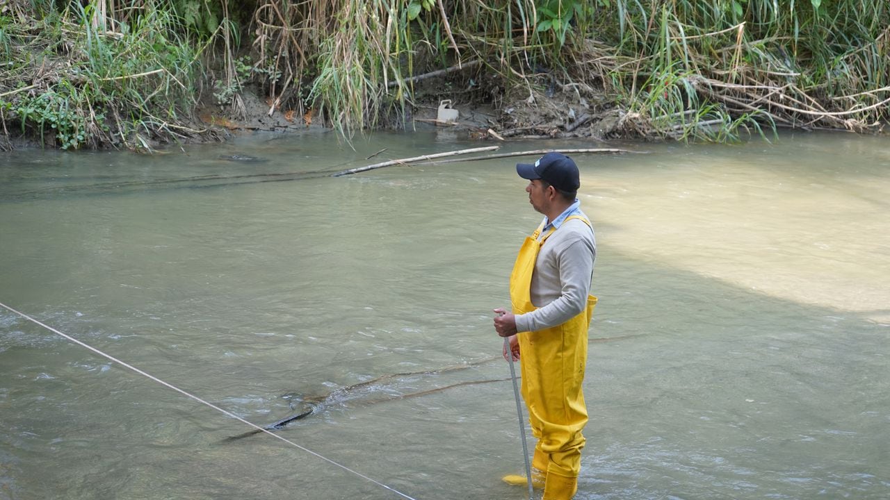 Agricultores que tienen sus cultivos cerca a los ríos del Valle, ahora cuentan con un control del caudal los afluentes y así evitar emergencias.

Foto: Asocaña