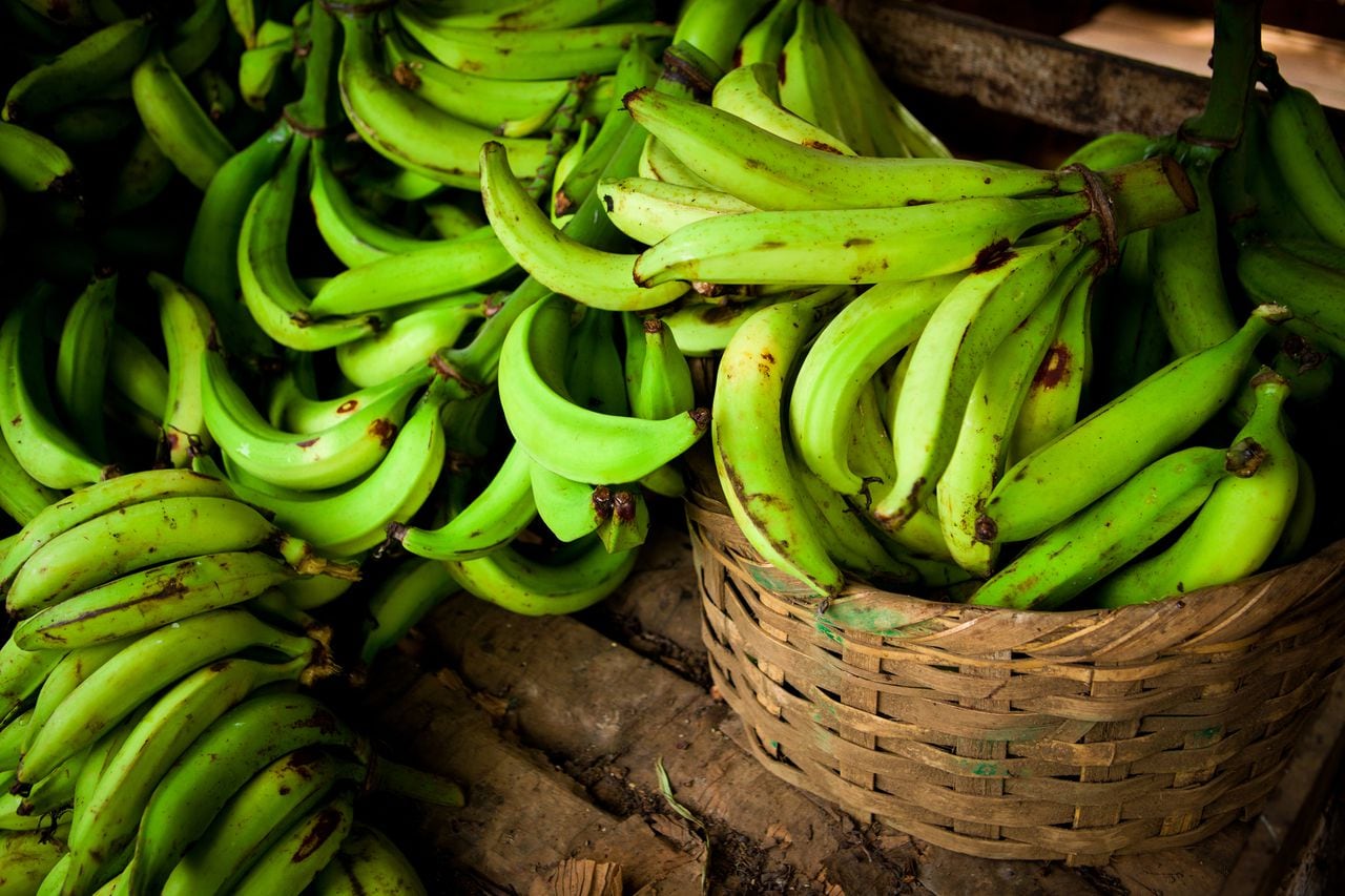 Se desglosa la importancia de la temperatura del entorno de almacenamiento para mantener los plátanos verdes en su estado ideal.