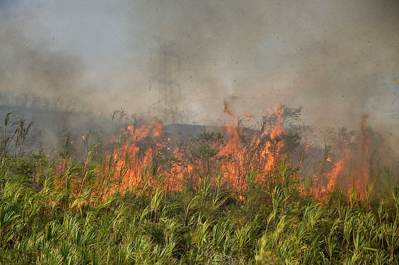30 unidades bomberiles atienden nuevo incendio forestal al oeste de Cali. Foto Raúl Palacios