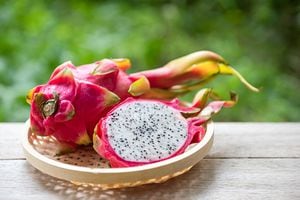 Pitaya or Dragon Fruit