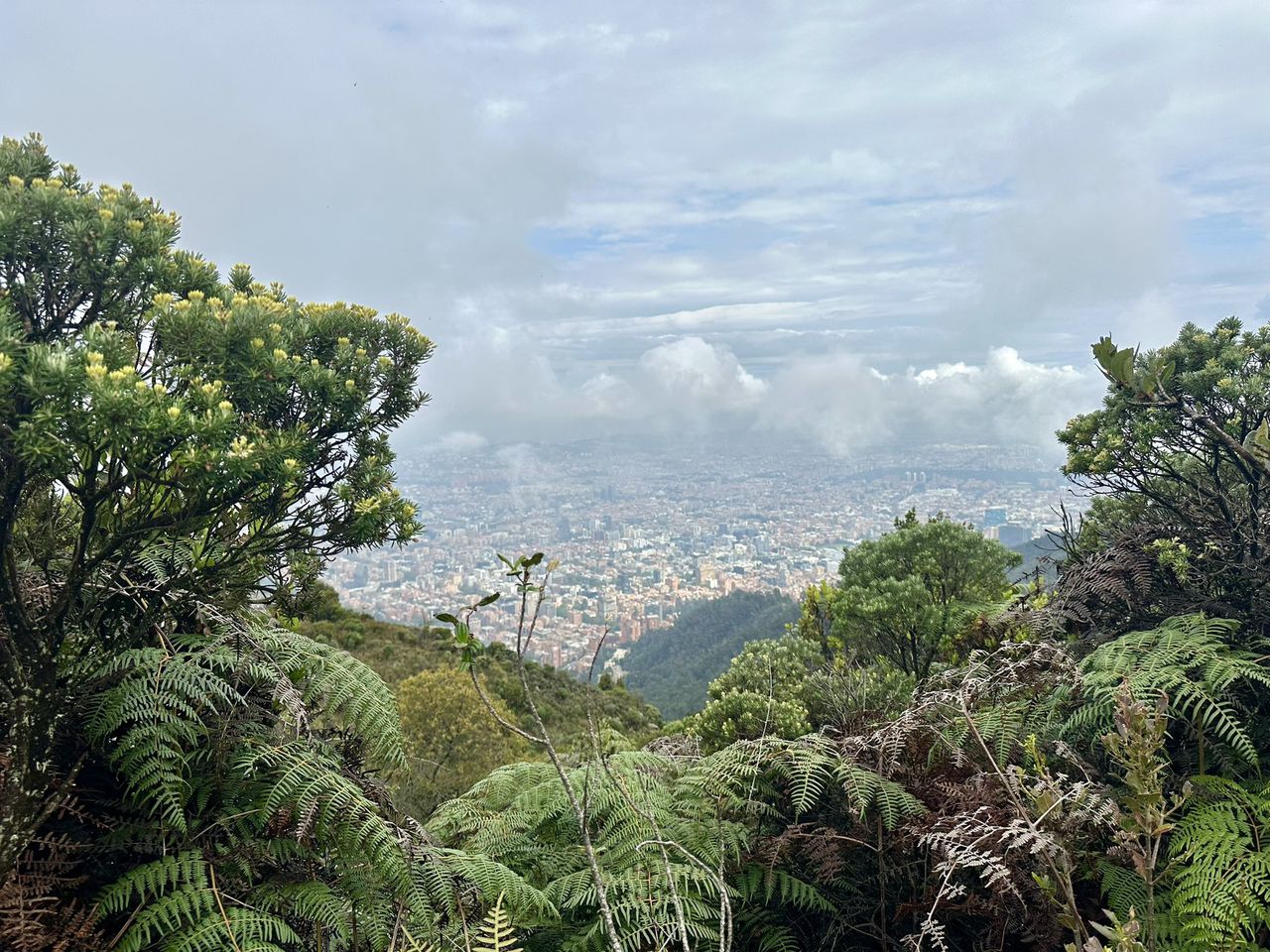 Vista de Bogotá desde el sendero Las Moyas.